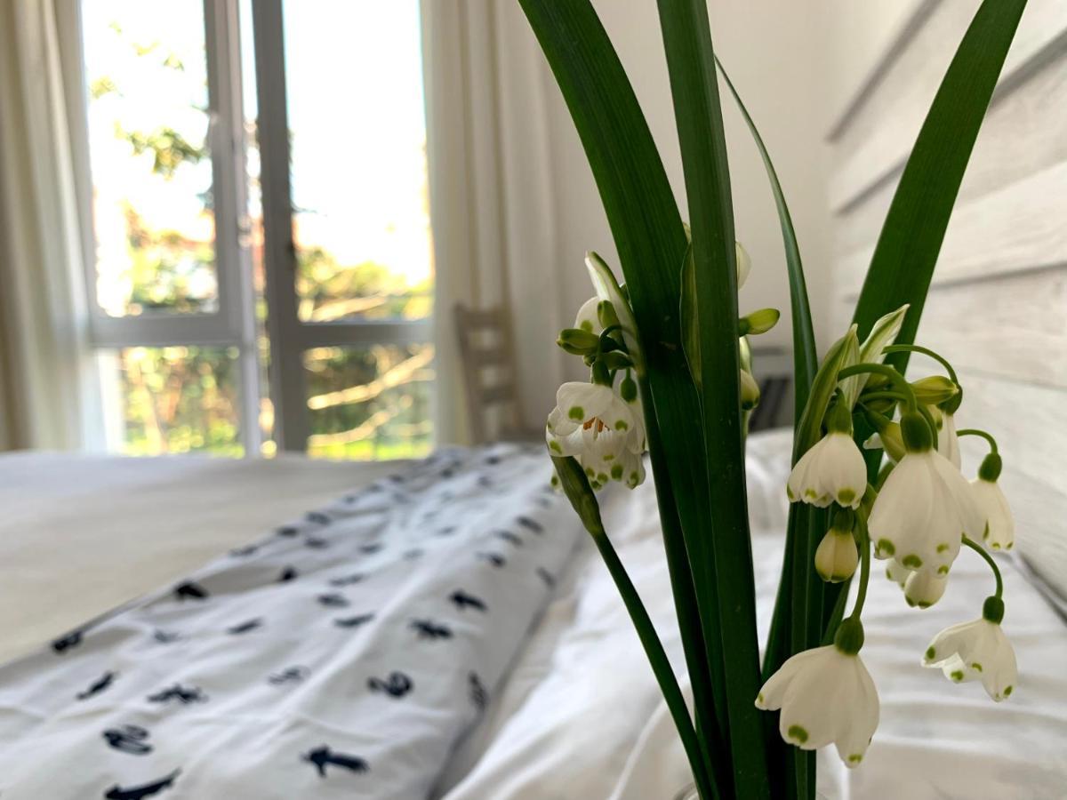 Guest House Junona Makhinjauri Dış mekan fotoğraf