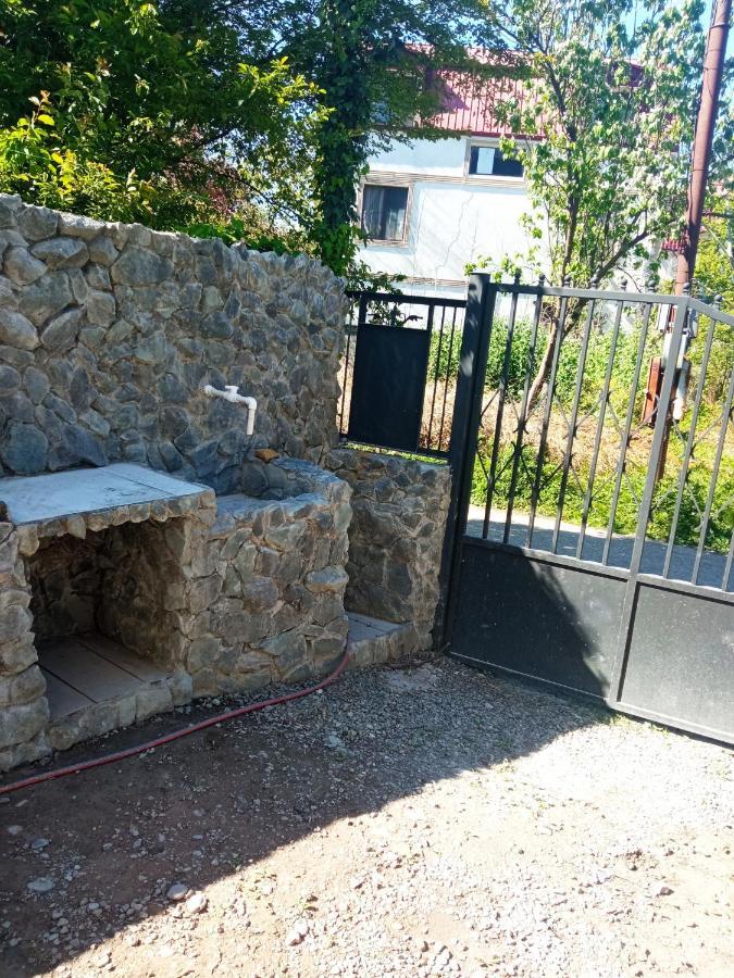 Guest House Junona Makhinjauri Dış mekan fotoğraf