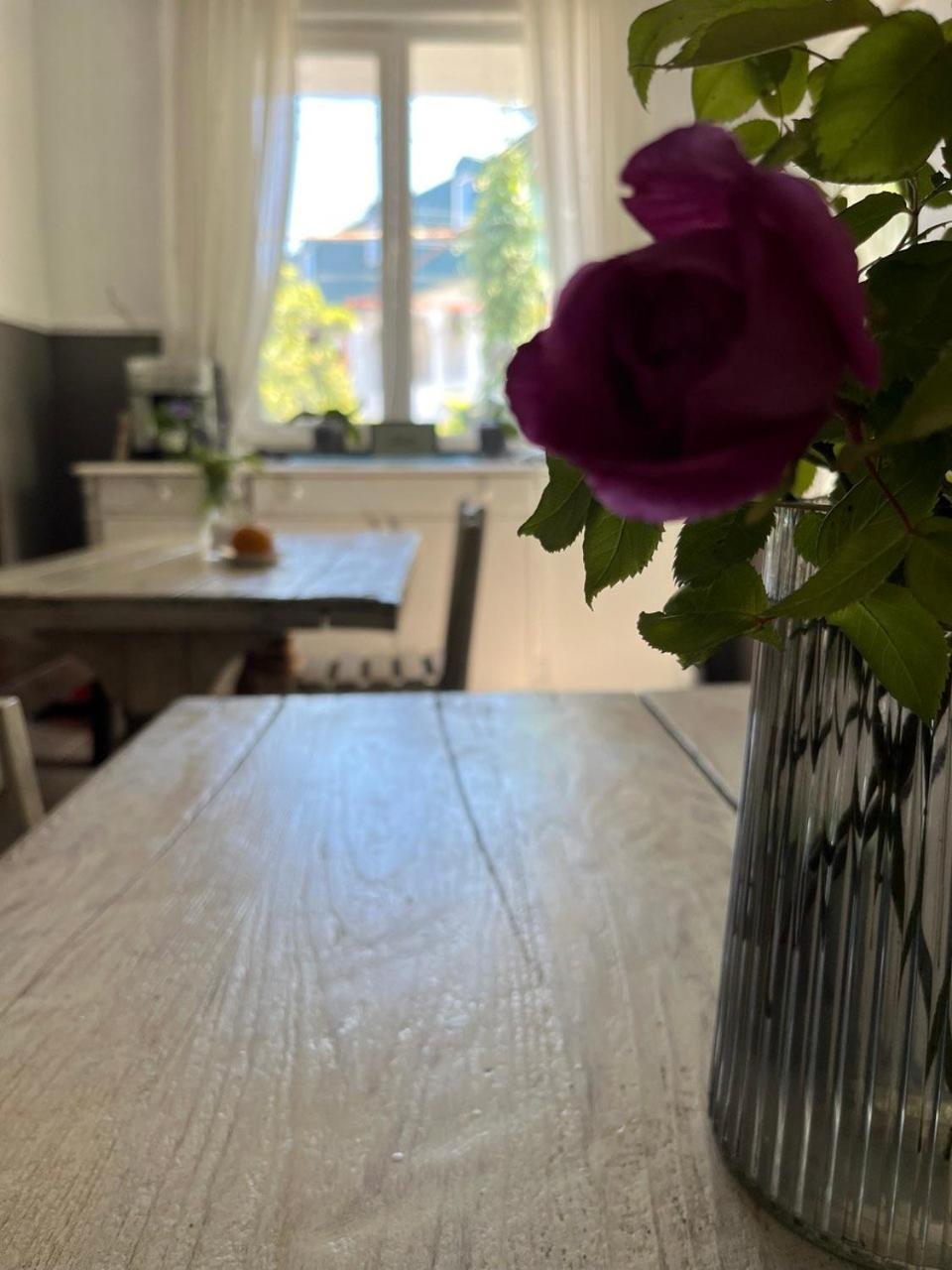 Guest House Junona Makhinjauri Dış mekan fotoğraf