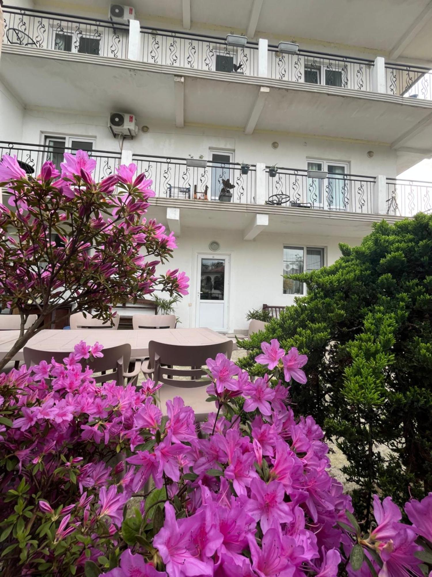Guest House Junona Makhinjauri Dış mekan fotoğraf